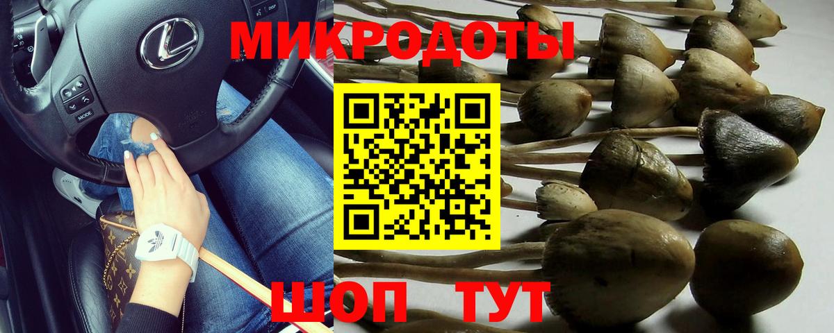 Псилоцибиновые грибы мицелий Котельники